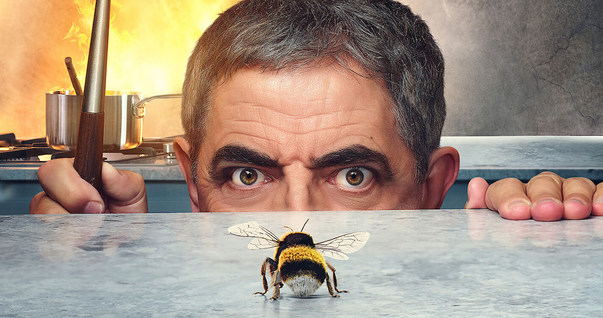 مستربین و زنبور داستان جنگ تمام عیار یک مرد با یک زنبور